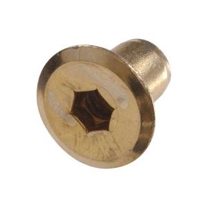 1/4 - 20 Decorative Head Cap Nuts, 17mm (.669 in.) Long, Brass Plated - Qty:2400
