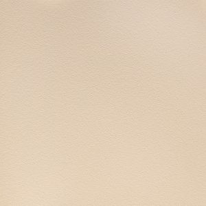 Fastedge Peel & Stick Edgebanding - Almond/PVC - Width 15/16 in. - 50 ft. Roll