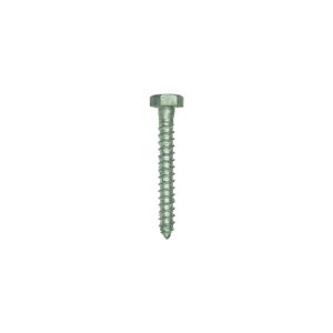 1/4 in. x 2 in. Hex Head Galvanized Lag, Hex