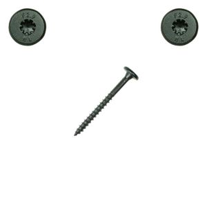 1/4 x 2-7/8 in. Fastenmaster Wafer Head Headlok, Spider