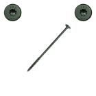 1/4 x 6 in. Fastenmaster Wafer Head Headlok, Spider