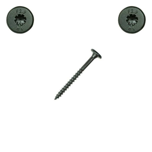 法螺貝　⑧ 1/4x2-7/8 in. Fastenmaster Wafer Head Headlok, Spider-Qty:25