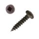 8 x 3/4 in. Pan Head, Black, Square - Qty:1000