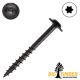 8 x 1-5/8 in. Big T Washer Head, Coated, T-20, Black - Choose Your Quantity