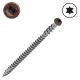 10 x 2-1/2 in. Trapease3 Composite Deck Screws, Cap-Head, Ttap Star (Torx) Drive, Color - Firepit - Qty:75