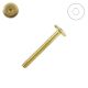 1/4-20 x 2 in. RTA Connecting Bolts, Brass Plated Steel, Wafer Head, Hex Drive - Qty:1000