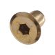 1/4 - 20 Decorative Head Cap Nuts, 17mm (.669 in.) Long, Brass Plated - Qty:100