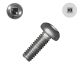 1/4-20 x 1/2 Pan-Head Machine Screws, 18-8 Stainless, Square Drive - Qty:1000