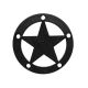 Decorative Black 3 in. Star