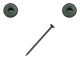 1/4 x 4-1/2 in. Fastenmaster Wafer Head Headlok, Spider