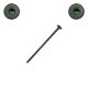 1/4 x 5 in. Fastenmaster Wafer Head Headlok, Spider