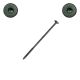 1/4 x 6 in. Fastenmaster Wafer Head Headlok, Spider