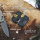 Pivot Knife Sharpener with Pivot-Response and Convex-Carbide