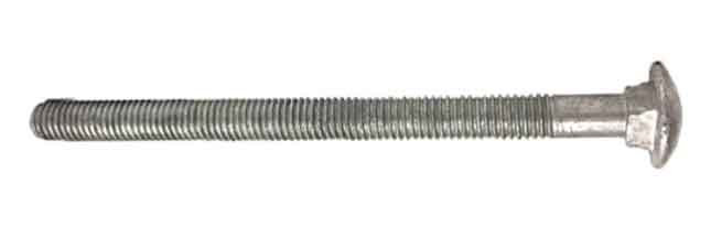 Carriage Bolts