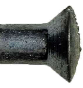 Oval Head