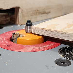 Grand Rabbit Bit cutting the rabbit